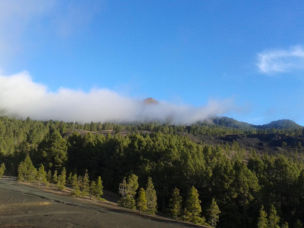 El Poleal Vacacional Apartman Los Llanos De Aridane Szoba fotó